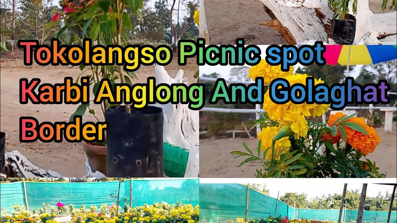 Tokolangso Picnic spot// Golaghat Border// near is Flower Festival kawanipathar 