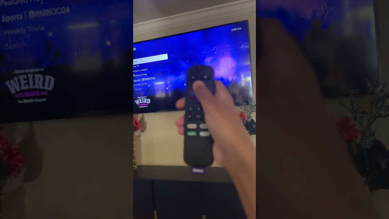 Roku HDMI Secret Menu
