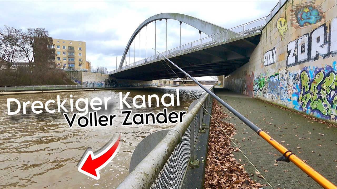 Angeln auf Wolgazander am Kanal.