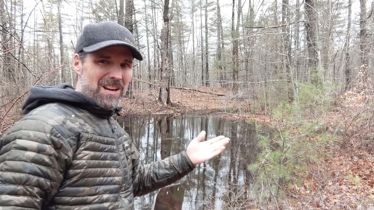 Vernal Pools 101 with Dan G. (@LeadwithNature )