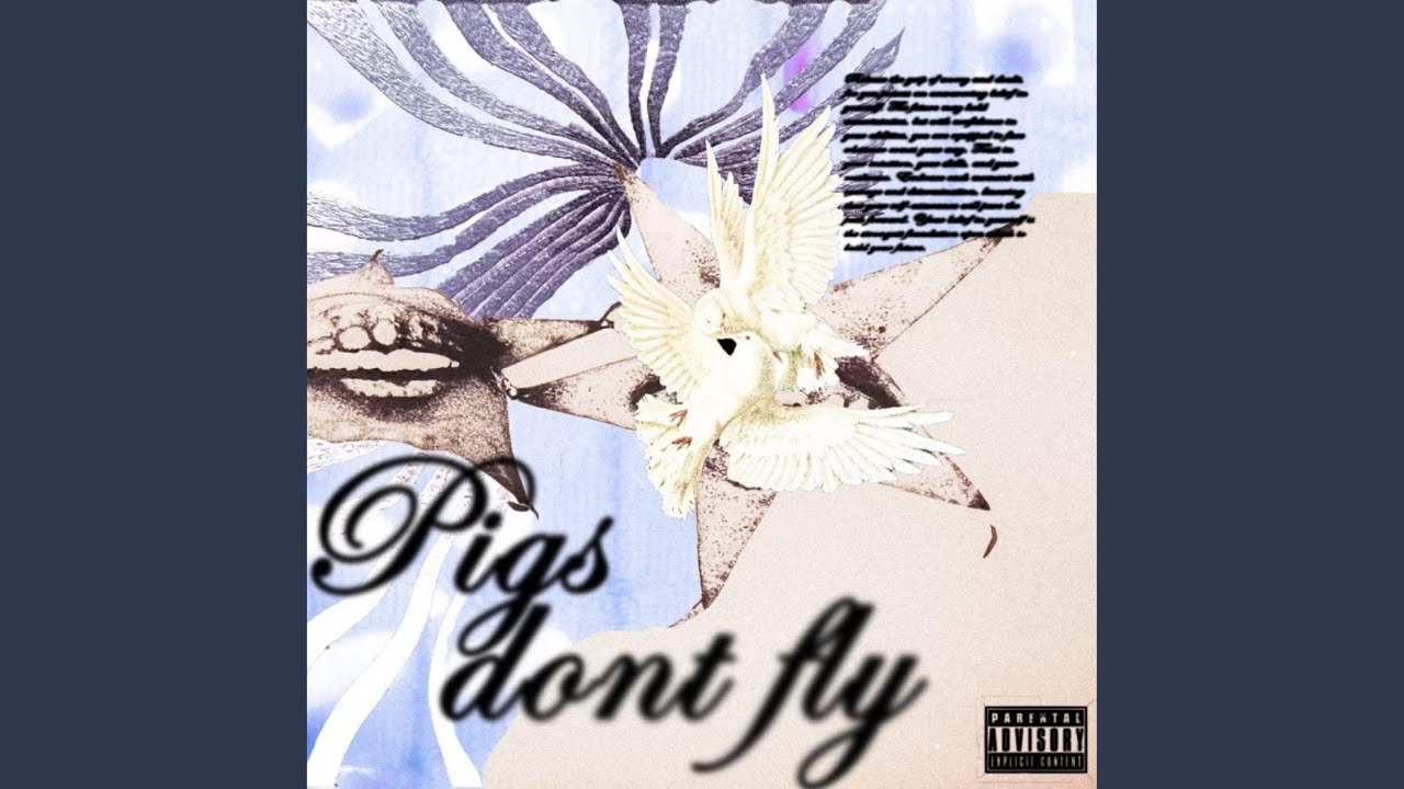 pigs don't fly