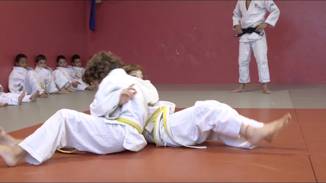 Moguts per la base - Judo Moià
