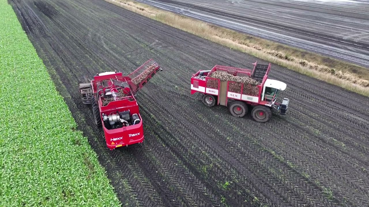 bieten rooien loonbedrijf Sandee het is goed nat oost Groningen farmers