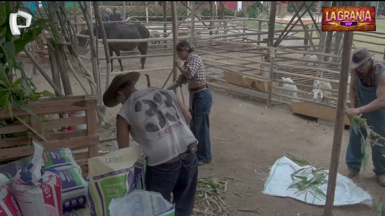 NOCHE DE RECONCILIACI&Oacute;N ENTRE PAUL Y PAMELA