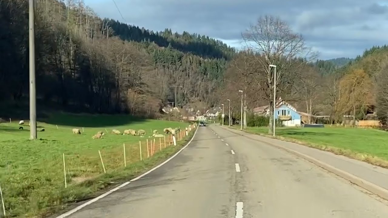 Bus driver in ❤️Freiburg, Germany🇩🇪Black Forest🌲