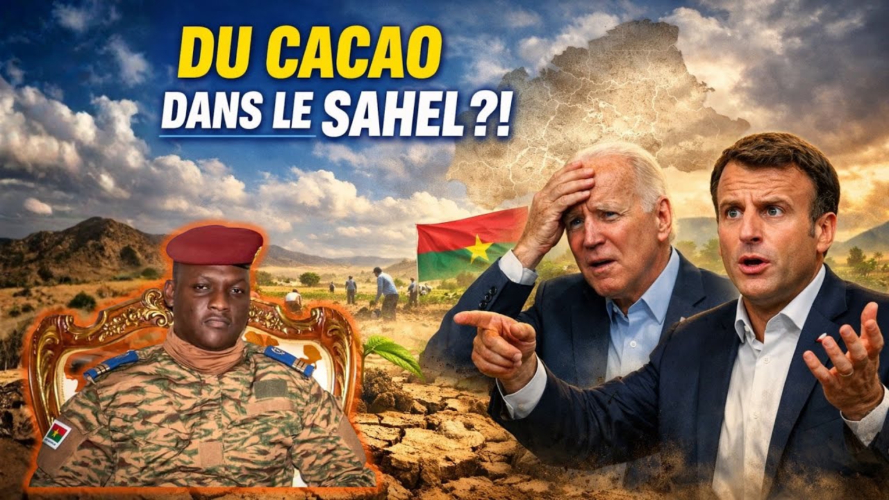 Ibrahim Traoré Défi Imposant: Le Cacao dans le Sahel, 15% des Plants Survivants!