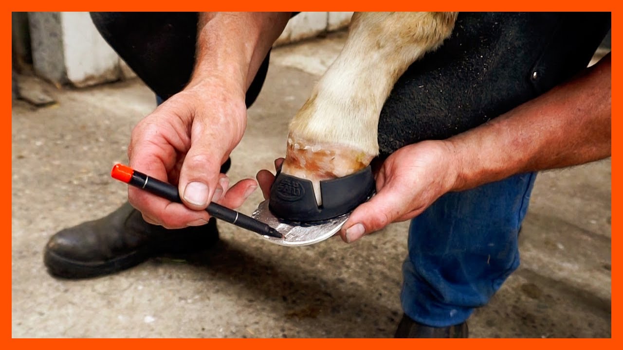 How To #7: Extend a Mini Glushu for a club footed foal
