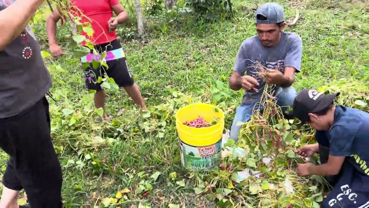 La catracha se fue a la  trabajacion a Honduras 