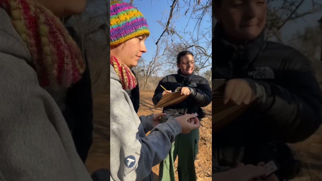 What You&rsquo;ll Do as a Research Volunteer! 🔍🌿  #goeco #wildlife #research