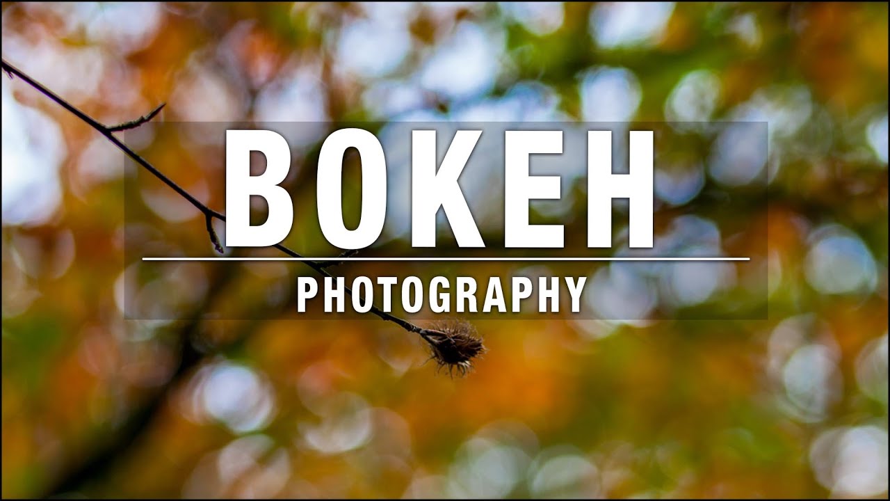 Фотография боке — простой способ