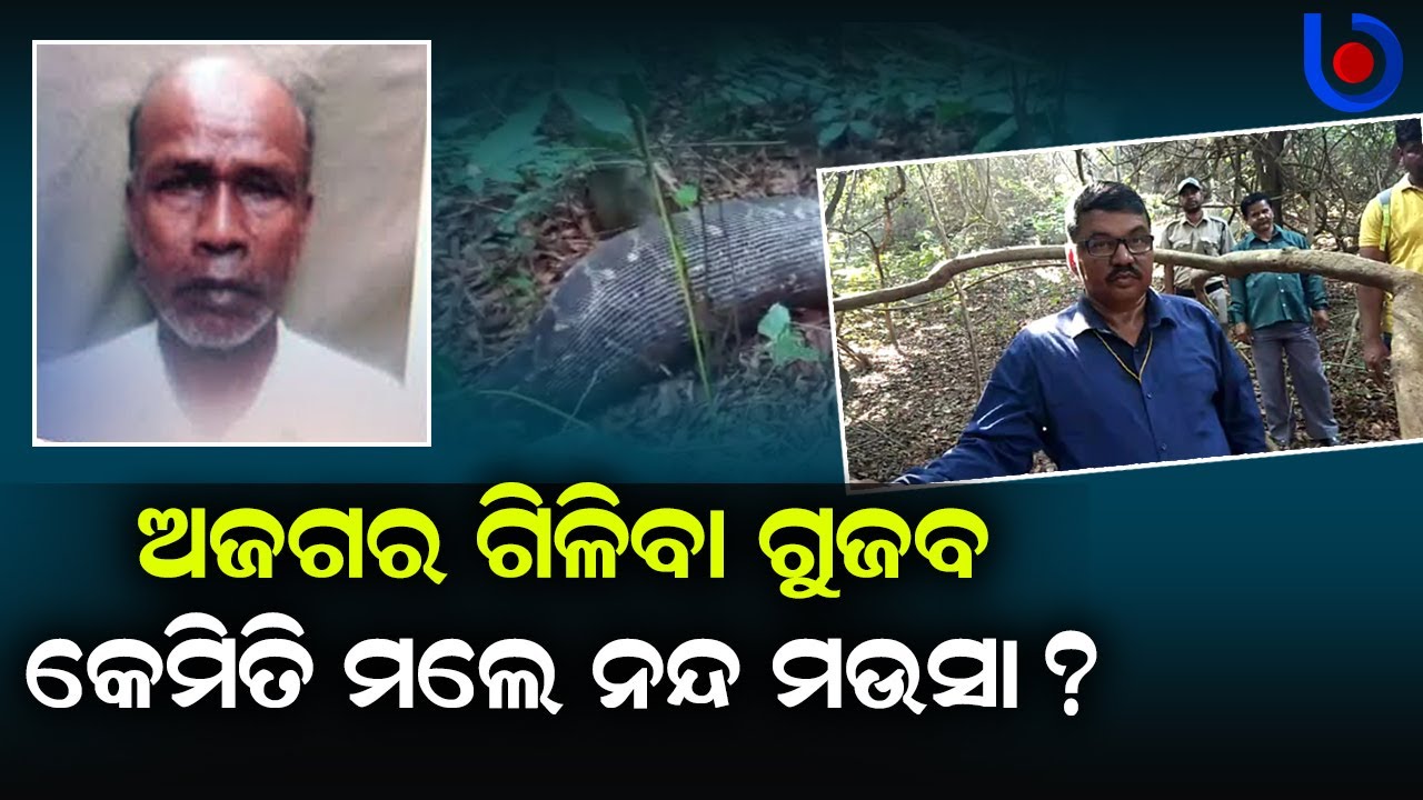 Python Devouring Theory Proved Wrong If Skeleton Is Of Nanda Kishore; But How Did He Die ?