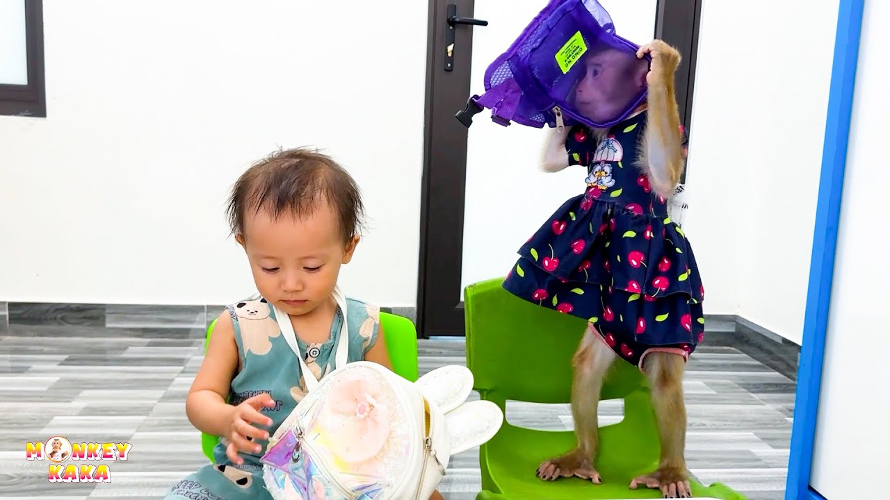 Monkey Kaka and Diem go to class with mom so happy
