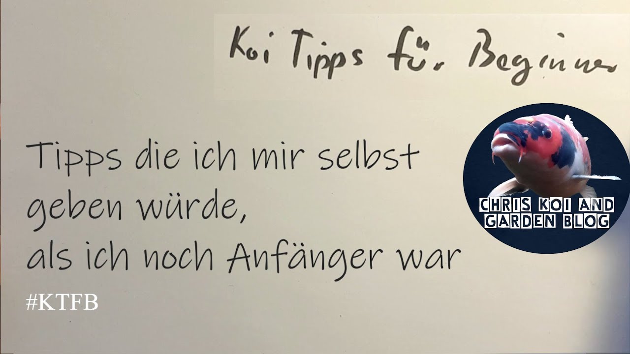Meine Erfahrungen mit Siebfilter SiFi, Trommelfilter und Reihenfilter [KTfB#2][Teil1]