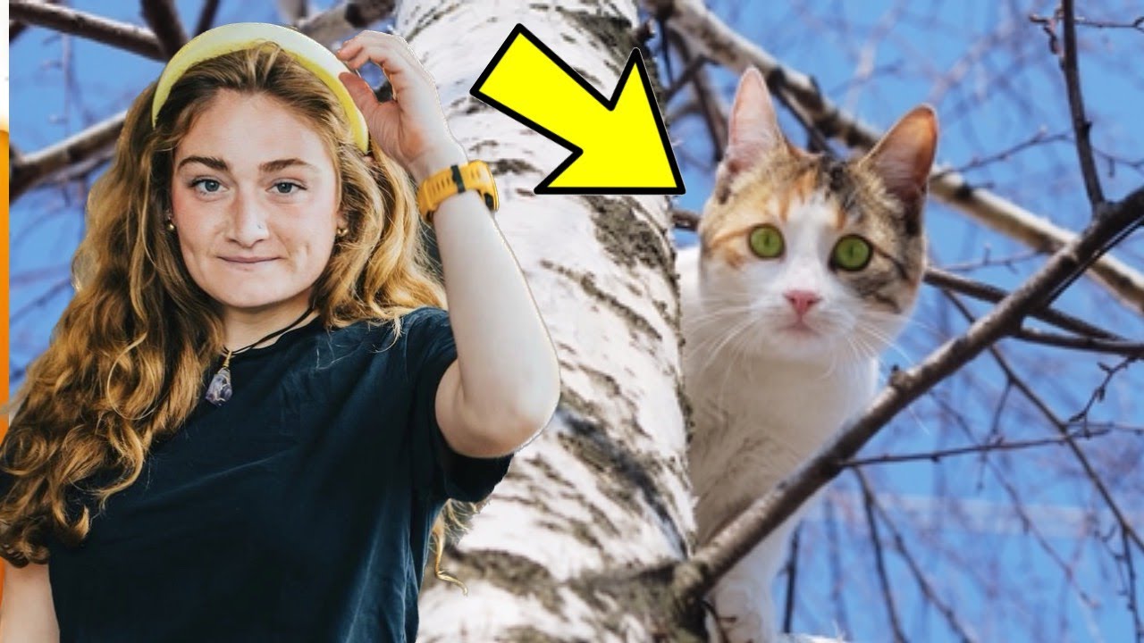 Funny Failed Rescue Attempt Story! Ft Comedian Caroline Williams The Barcast Podcast
