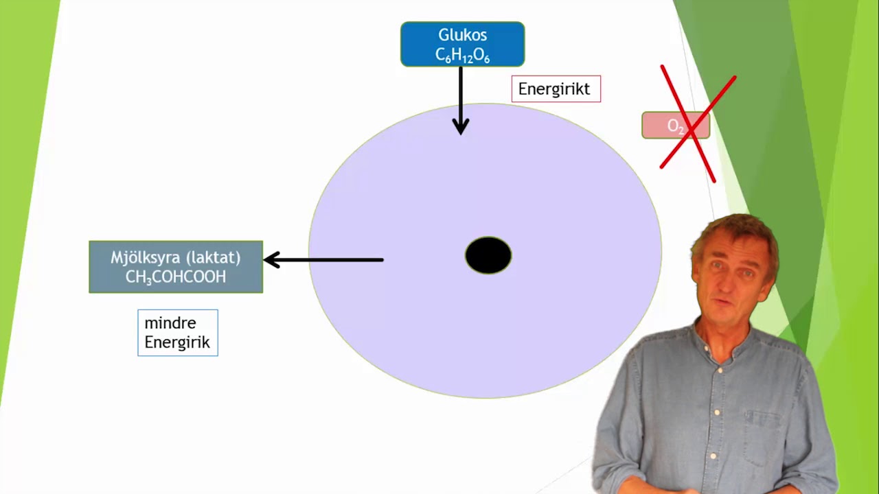 Cellens eneriomsättning del 1 : ATP
