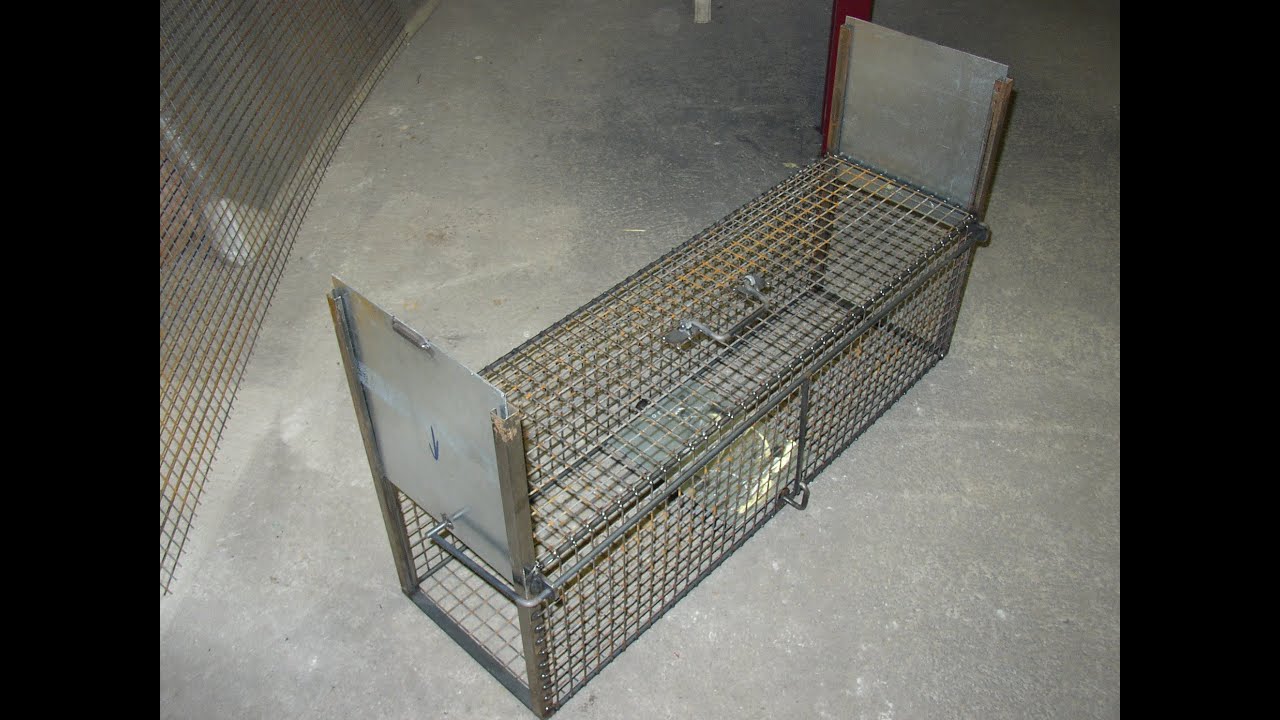 fabrication d'un piège cage
