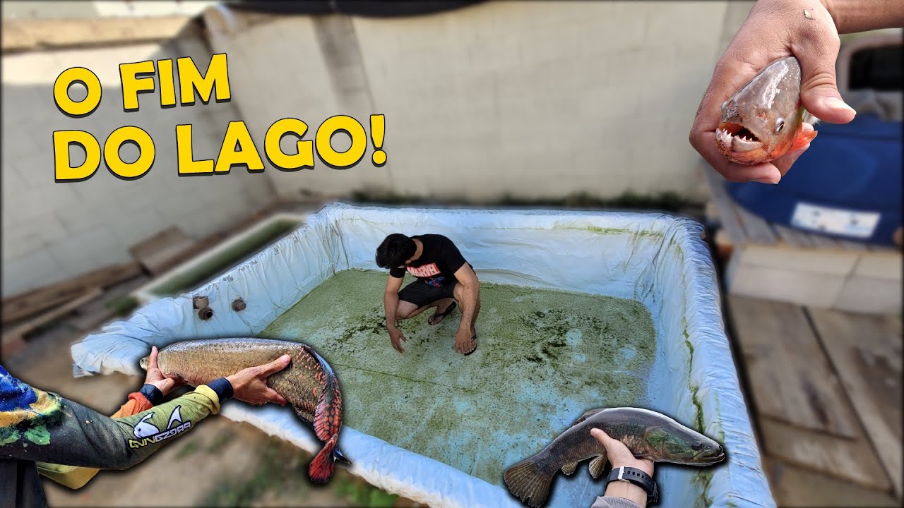 ACABOU O LAGO DOS PREDADORES! E AGORA?