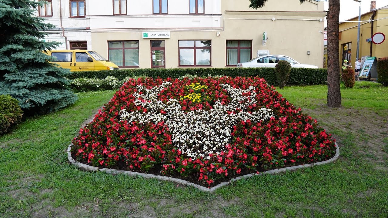 #gaszynchallenge - Straż Miejska w Hrubieszowie