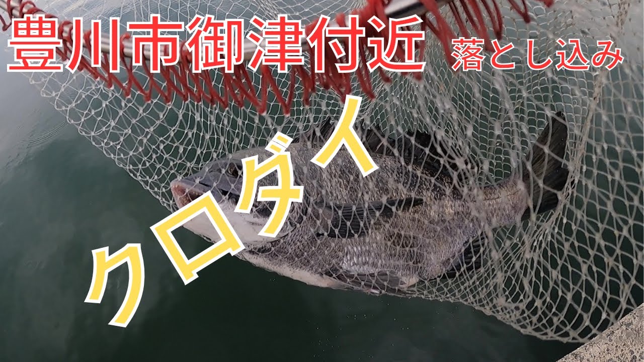 三河湾の突堤でクロダイ釣り
