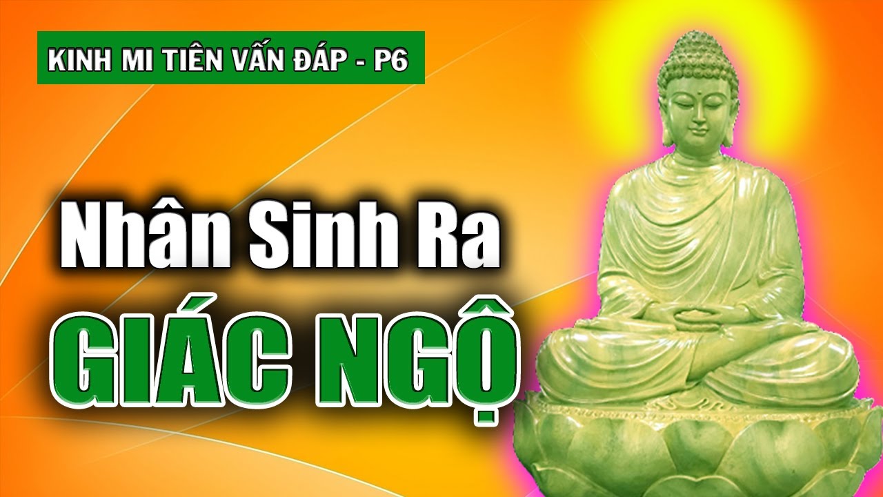 Nhân Nào sanh ra Giác Ngộ? Tuệ Xuất Thế Gian nằm ở đâu? | Kinh Mi Tiên Vấn Đáp – phần 6