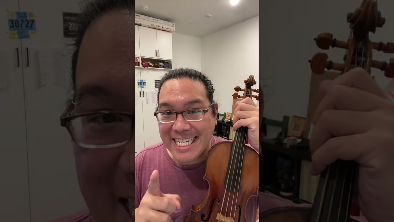 gut strings or metal wound strings?
