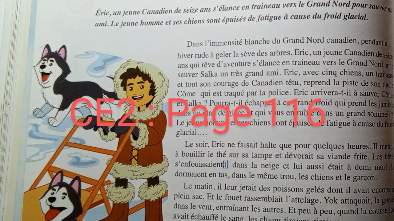 CE2 : Lecture : Les chiens d' Éric page 116 . Le trésor des mots