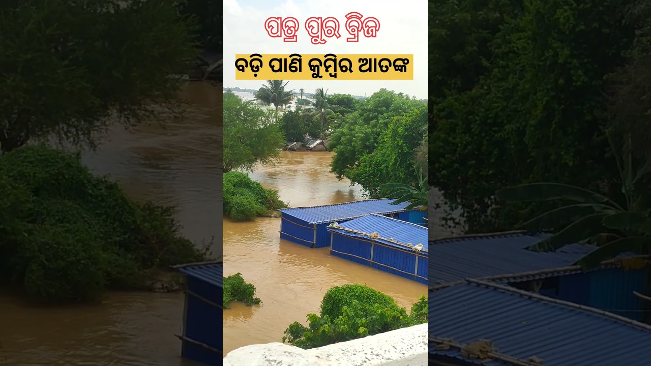 😔Heay Flood || PATTAMUNDAI PATROPUR BRIDGE, ODISHA FLLOD.