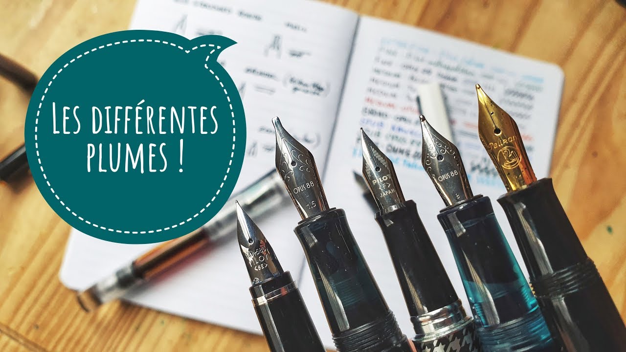 Les différents types de plumes