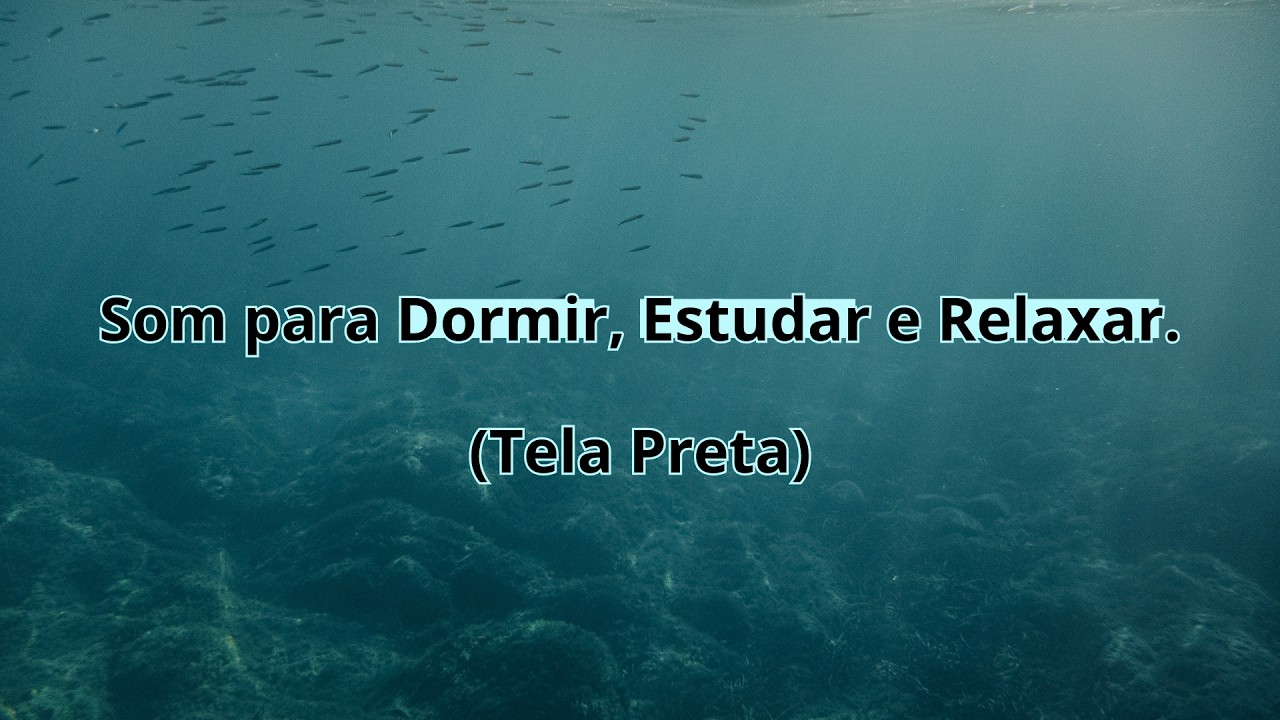 Música Para Dormir Profundamente ou Estudar e Manter o Foco [Tela Preta]: SOM DO MAR E GAIVOTAS.