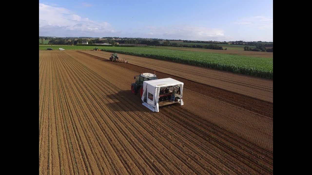 Plantation de poireaux [JOHN DEERE & FENDT]