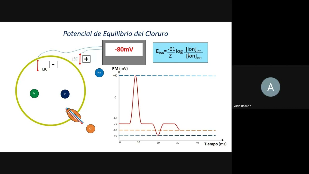 CLASE DE REPASO CyD - Potenciales Biológicos y Fisiología Sensorial - Prof Guillermo Grigioni