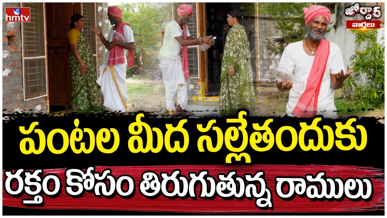 Jordar Varthalu : పంటల మీద సల్లేతందుకు రక్తం కోసం తిరుగుతున్న రాములు | Jordar Ramulu | hmtv