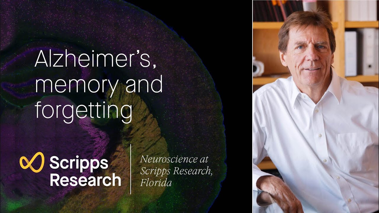 Alzheimer&rsquo;s, memory and forgetting: neuroscience at Scripps Research, Florida