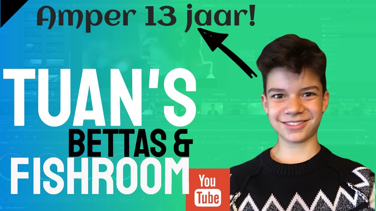 24 LIVE: Tuan's Bettas&Fishroom - hoe betta houden en betta kweken | Aquarium Sunshine Valley
