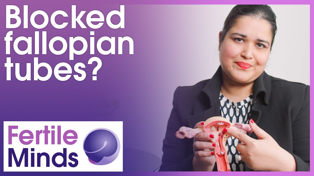 Can I Still Get Pregnant with Blocked Fallopian Tubes? - Fertile Minds