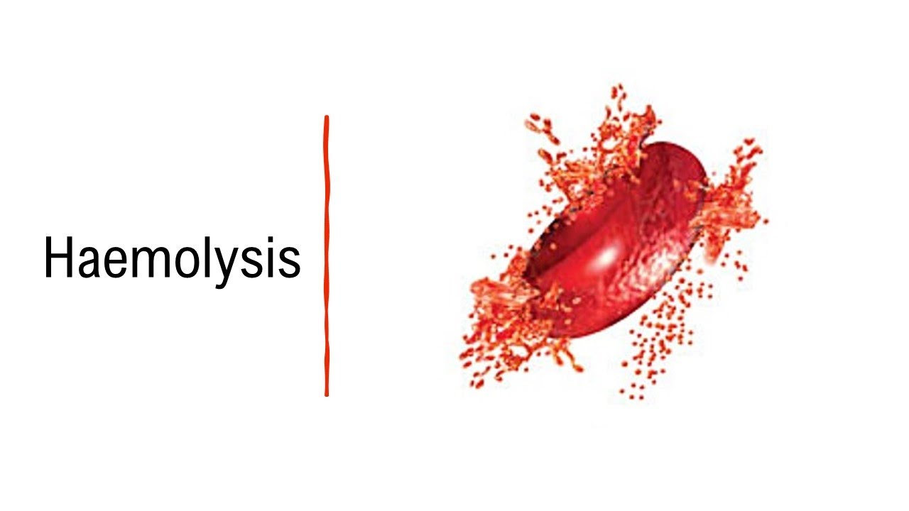 Haemolysis