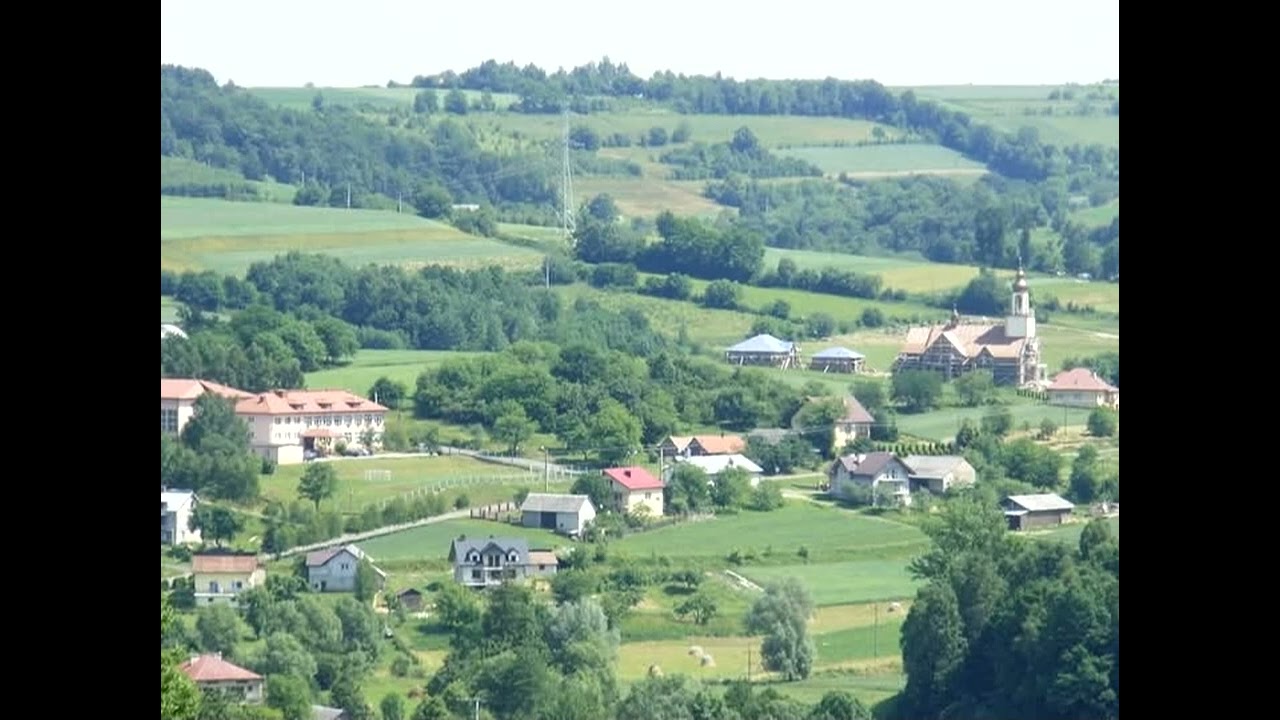   Sowina    