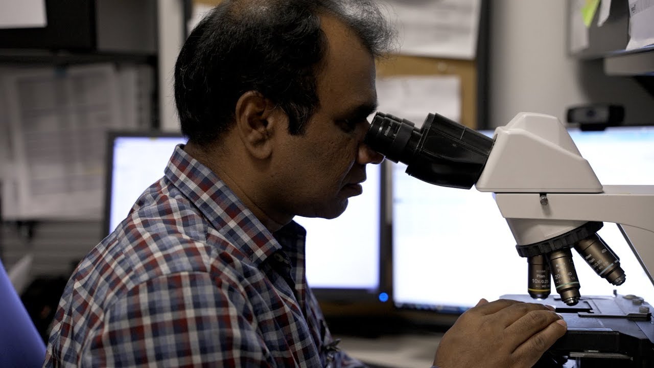 Pathology Residency Program | University of Florida Jacksonville