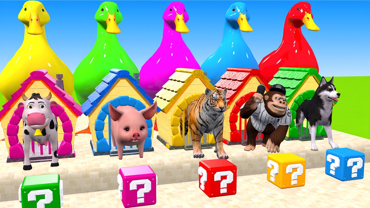 Long Slide Game With Cow Elephant Gorilla Buffalo Hippopotamus Tiger 3d Animal Game Funny 3d Animals