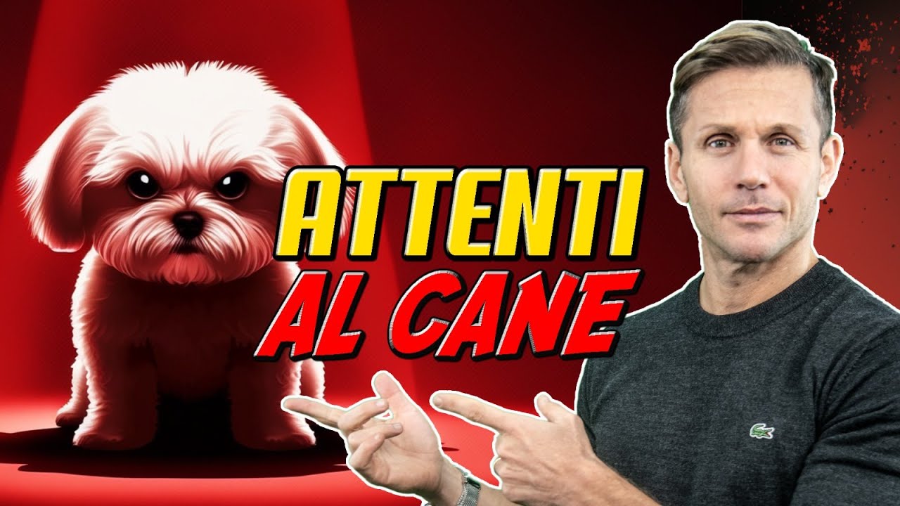 ATTENTI al CANE: quanto vale il cartello? | Avv. Angelo Greco