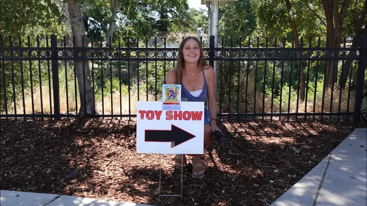 The Roseville Toy Show 2025