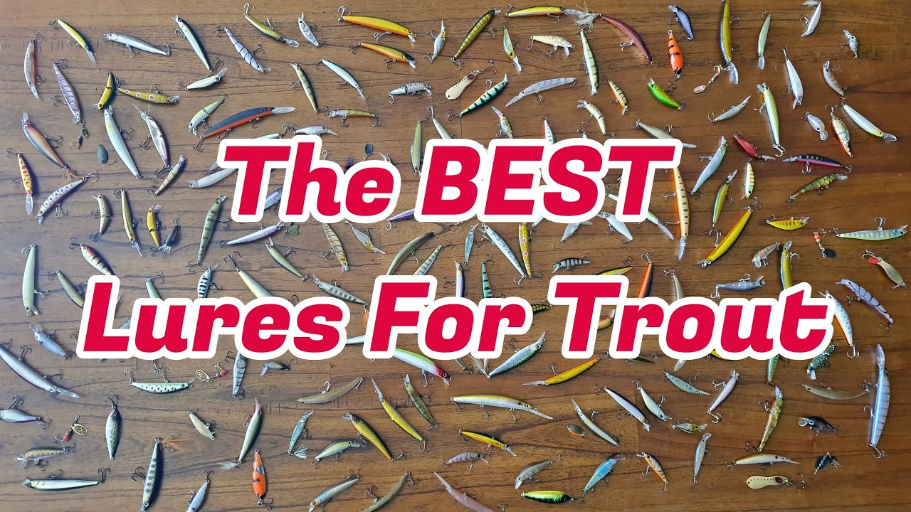 The BEST Lures for Trout