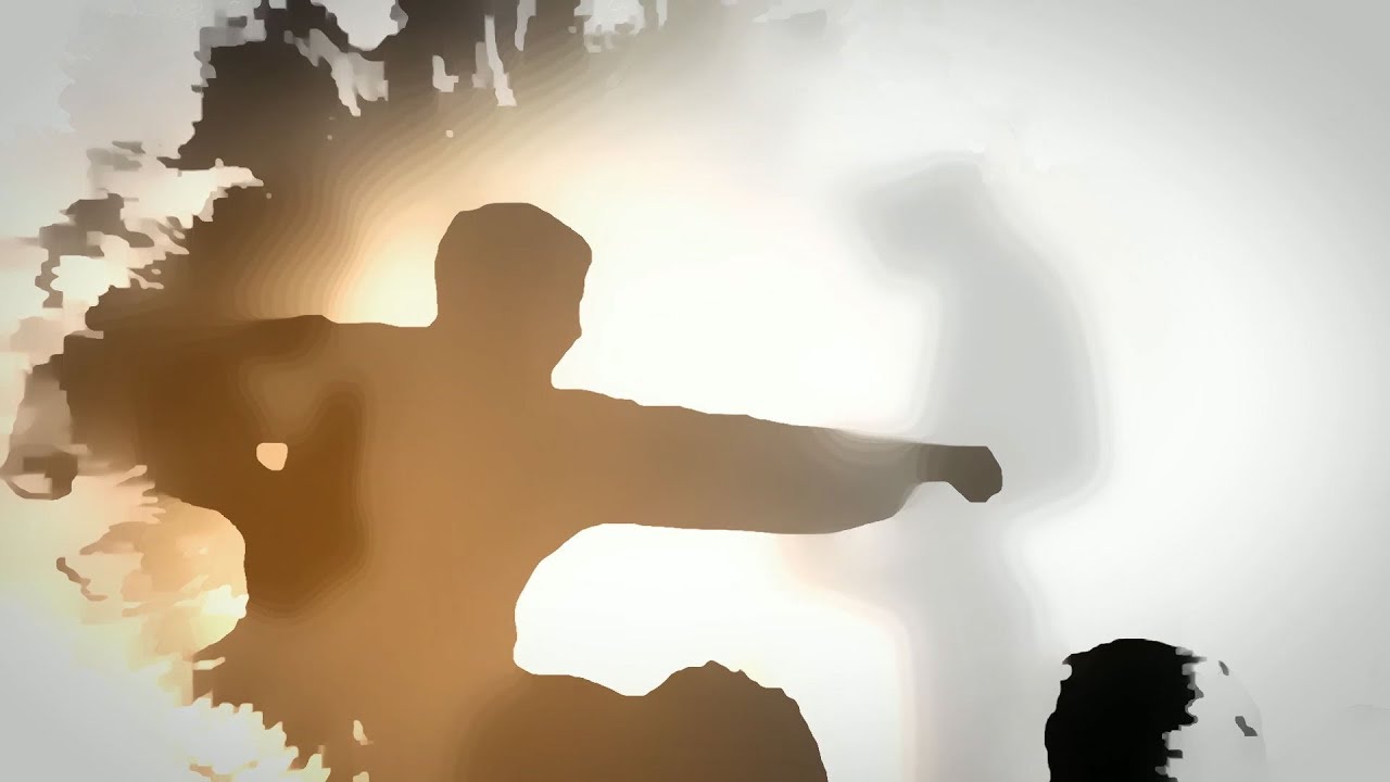 Montreal Kung Fu - Choy Lee Fut Showreel