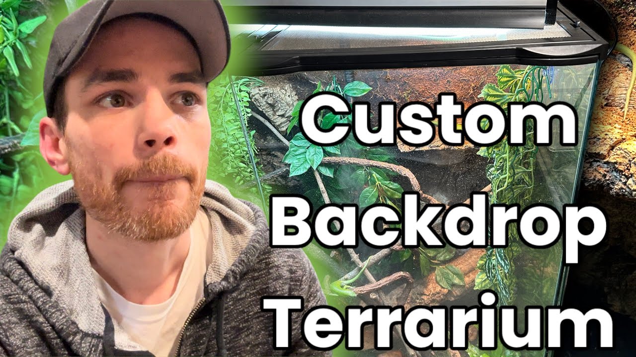 How to make a custom backdrop bio active enclosure.