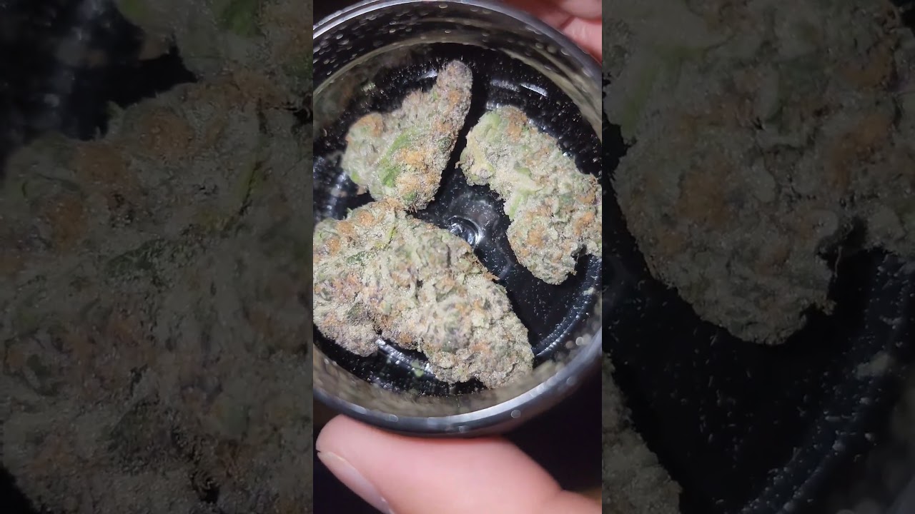 Strain: Super Boof