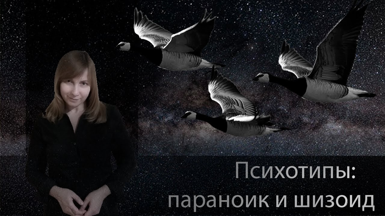 ПСИХОТИПЫ: ПАРАНОИК И ШИЗОИД. Конфликтология 30
