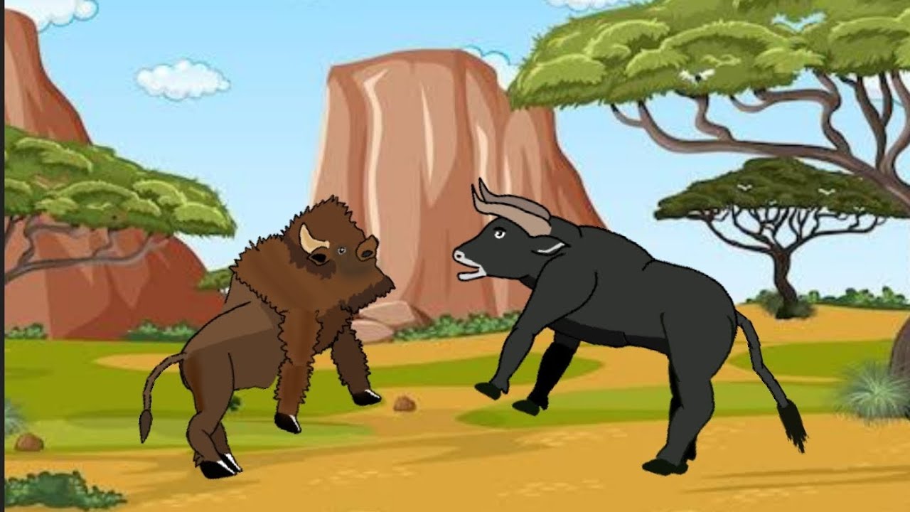 Buffalo vs American bison animals all animation #animation #dc2