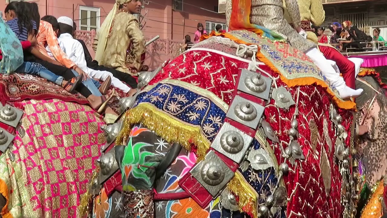 Muharram Great Tazia Show by Mahawats(Elephant Tamers)Of Jaipur
