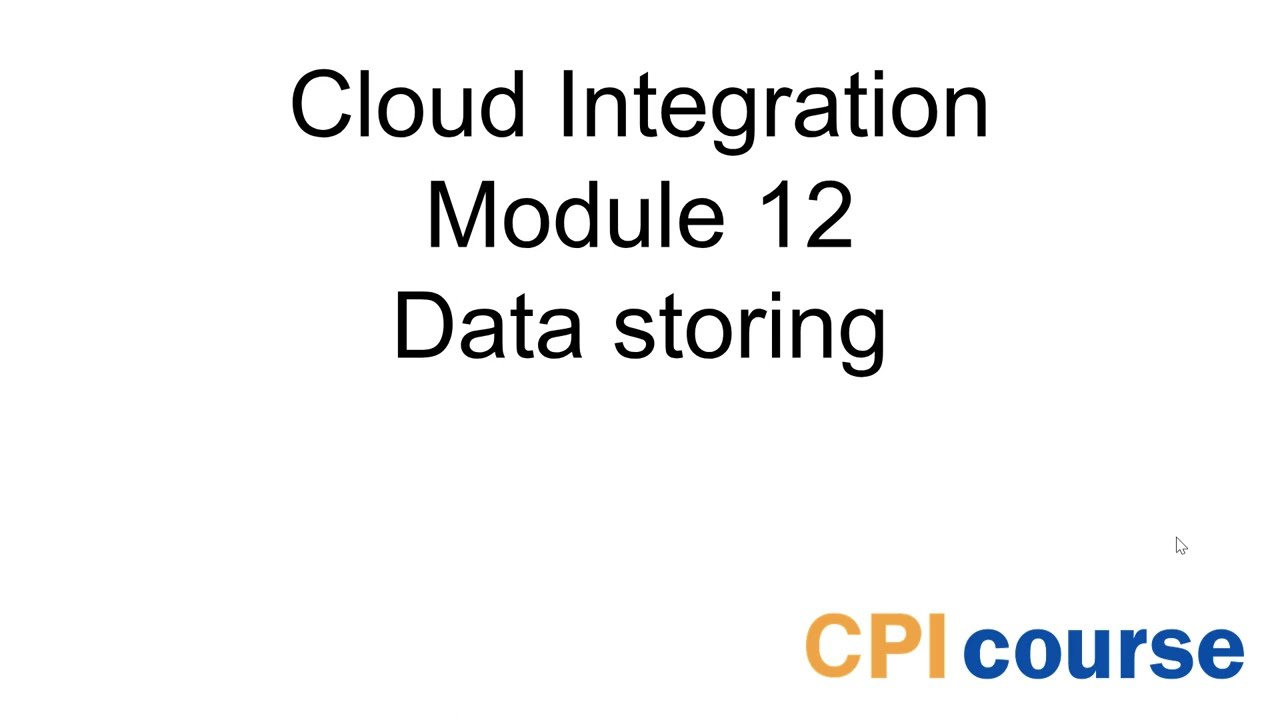Free SAP CPI Course - Module 12: Data Storing