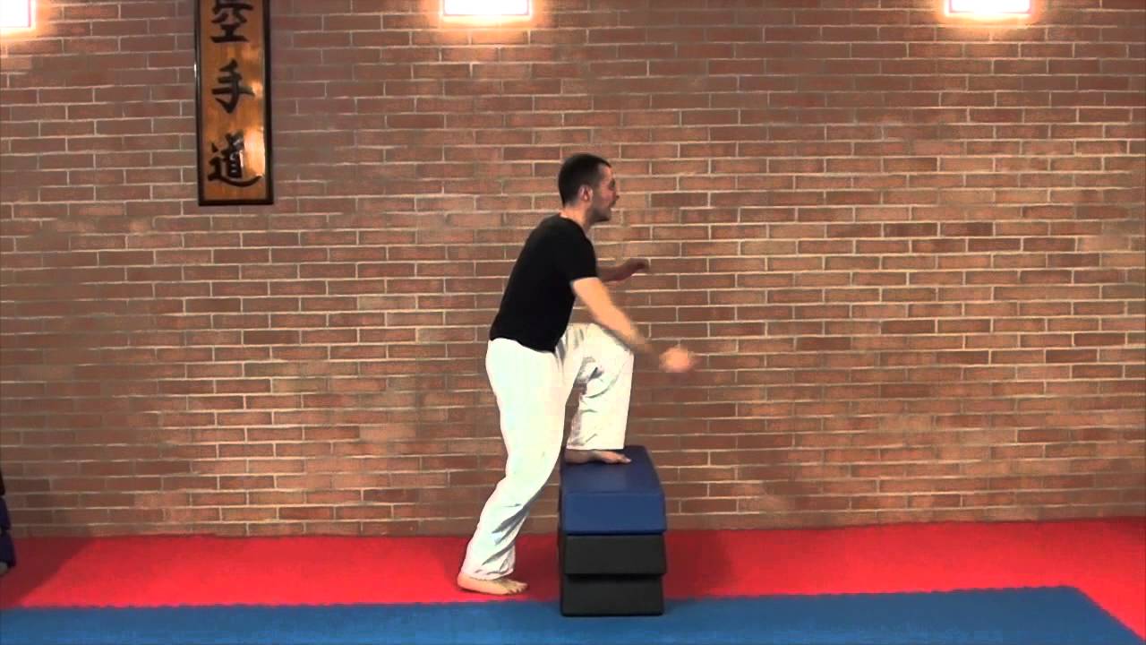 Pliometria, rapidità e potenza Karate (parte 2°)